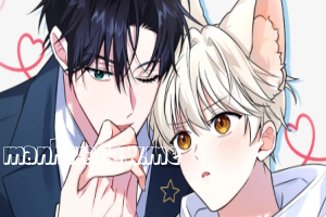 The Fox's Love Refresher