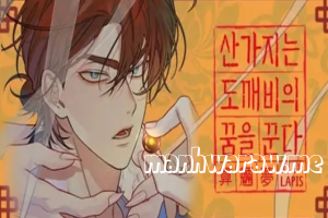 Dreaming of the Dokkaebi